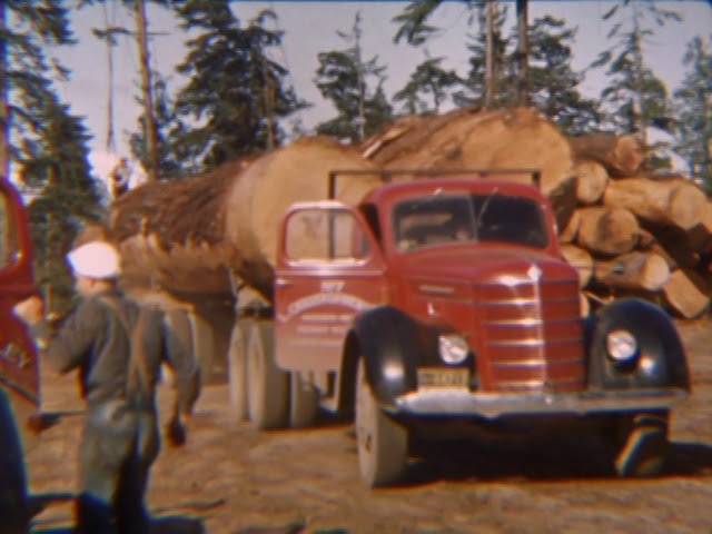 Hobi Logging 1