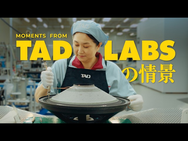 The Immeasurable Beauty of TAD Labs