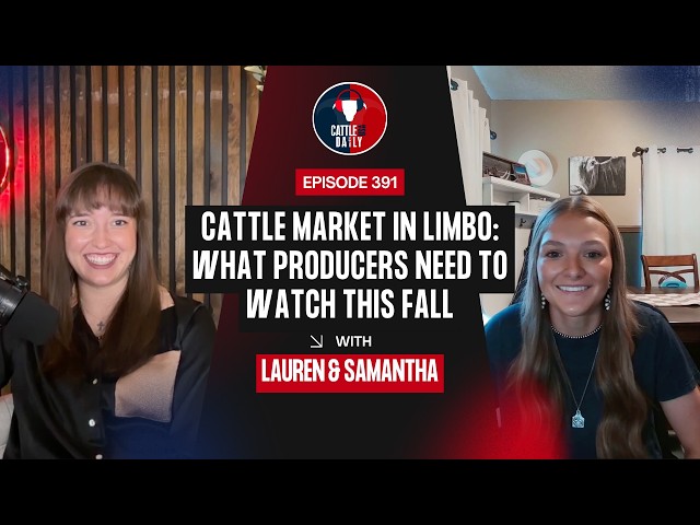 391: Cattle Market in Limbo: What Producers Need to Watch This Fall with Samantha Cozza-Wright