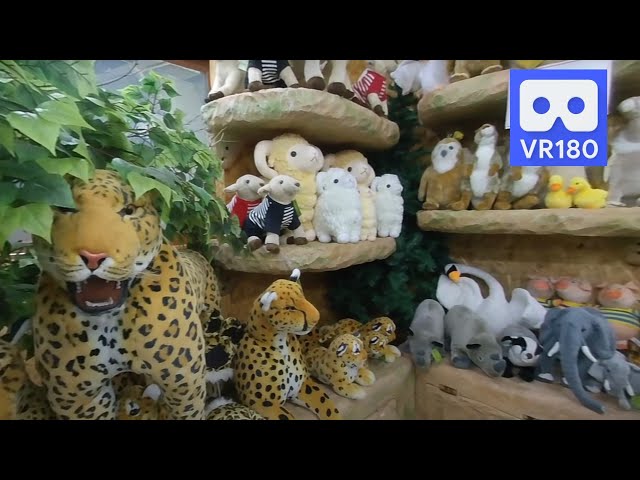3D 180VR 4K Lion Tiger Panther Horse Sheep Rabbit Cat and Dogs All of animals at Zoo Toy Shop
