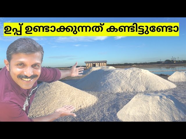 Salt making process | How salt is made
