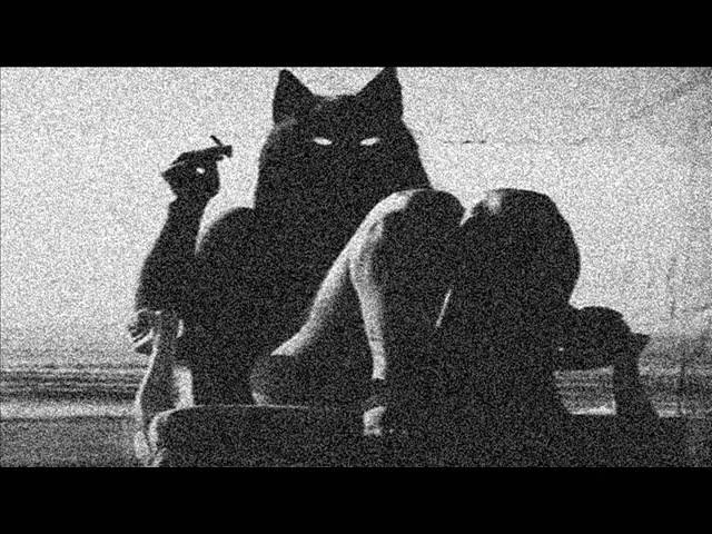 Qual  -   The Geometry Of Wounds