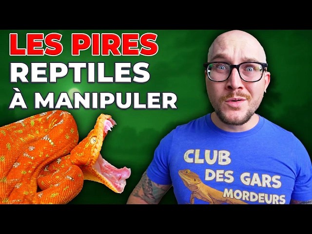 Les reptiles de compagnie les plus difficiles à manipuler