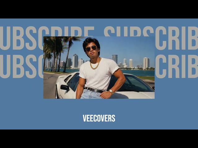 Stevie B - Spring Love (VeeCovers Remix)