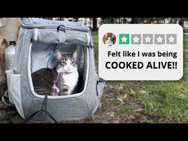 Avoid THIS Cat Travel Bag! (Try These Instead ☺️)