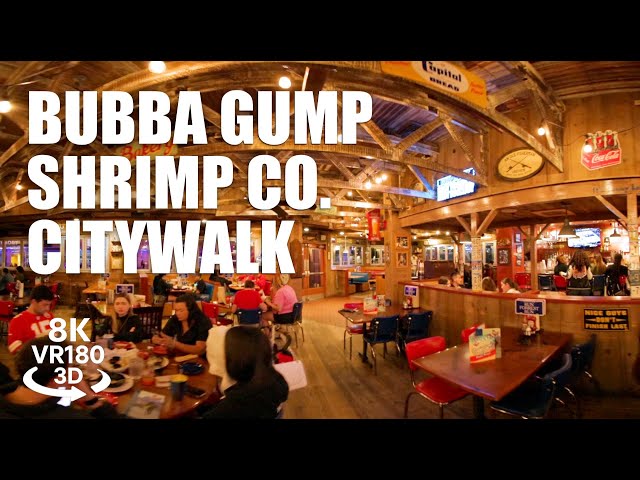 Bubba Gump Universal CityWalk VR180 8K 3D Restaurant Walkthrough Universal Orlando | VR视频 3D動画 VR旅行