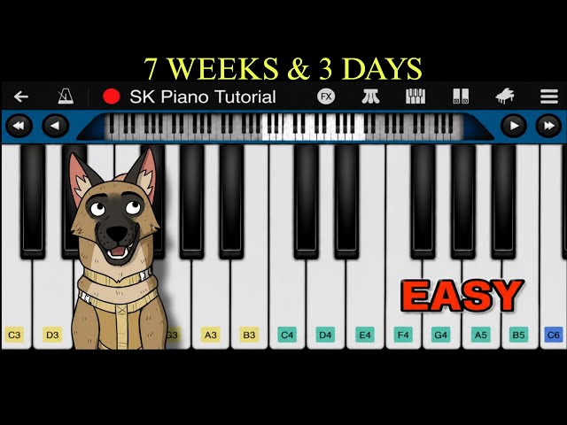 7 Weeks & 3 Days - Piano Tutorial | Pixie and Brutus
