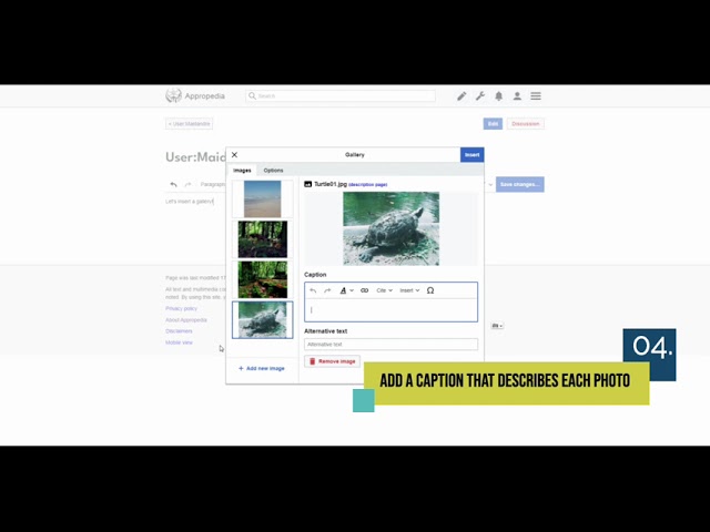 How to Insert a Gallery Visual Edit