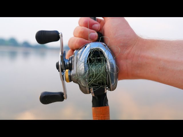 Looking to Buy A Digital Control (DC) Reel? Here’s What You NEED to Know...