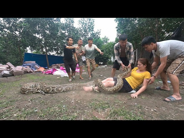 Top 5 Brave Hunters Rescue Man From Furious Giant Python – Shocking Survival Moments