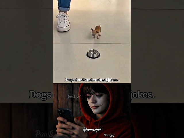 He Didn’t Understand the Joke. #sad #algorithm #shorts