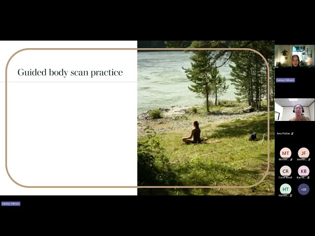 Reset & Reconnect: ​​Mindfulness Tools for Nervous System Regulation​