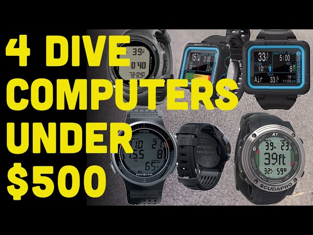 Does The Shearwater Peregrine Measure Up? 4 Dive Computers Under $500. Which should you choose?
