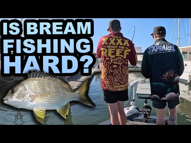 IS BREAM FISHING ON THE GOLD COAST HARD?