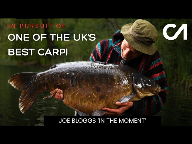 IN PURSUIT OF ONE OF THE UK'S BEST CARP!