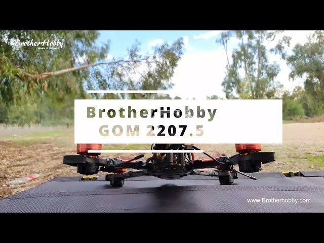 Brotherhobby GOM 2207.5 Motor 1750KV  Test