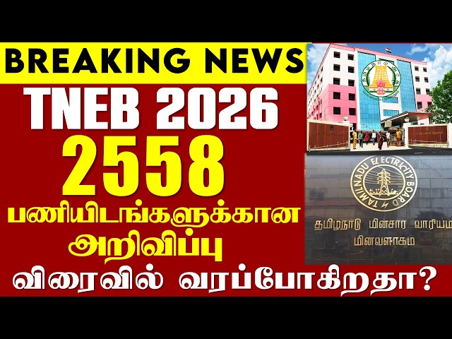 🔴#Breaking TNEB 2558 Vacancies Notification | Coming Soon? | TNEB 2026 NEW VACANCY