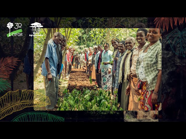 Celebrating CIFOR's 30th anniversary: Three decades of impact for trees, people and our planet