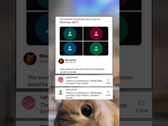 When you spend hours trying to decode WhatsApp profile colors
