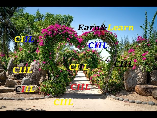 Earn Money While Learning Languages I CIIL Courses