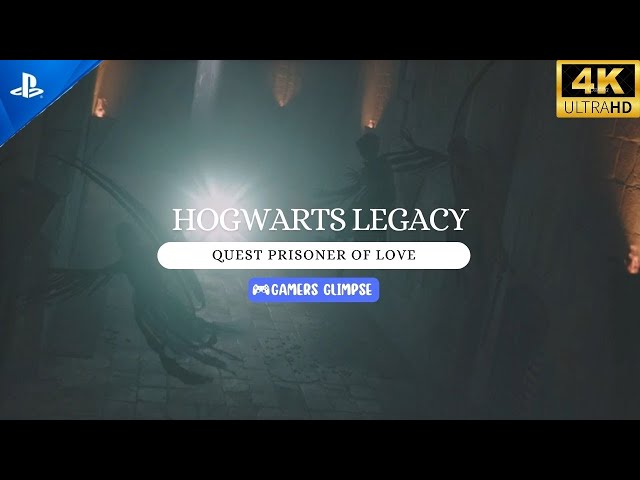 Hogwarts Legacy - Prisoner of Love (Hufflepuff) Main Quest Walkthrough | Gamers Glimpse