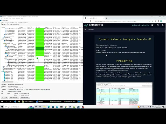 Dynamic Malware Analysis