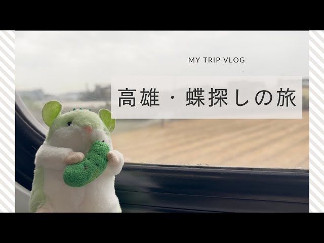 【台湾絶景】高雄・茂林｜数百万匹の紫斑蝶が舞う“紫蝶谷”へ