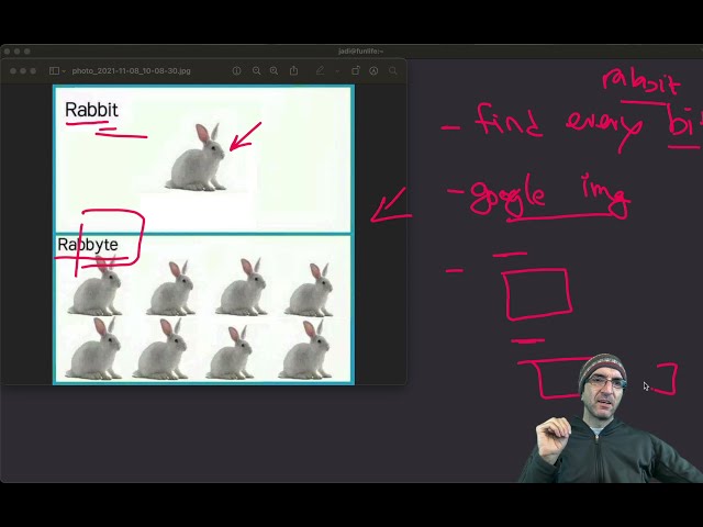 Making all the Rabbit / Rabbyte memes using Python and Bash and Gnu tools
