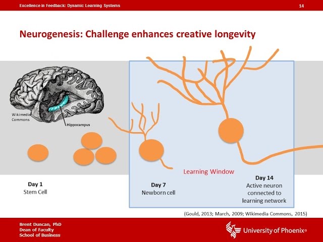 The classroom as a dynamic learning system