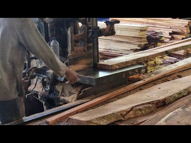 SMOOTH & PRECISE! Professional Log Slicing with High-Tech Sawmill