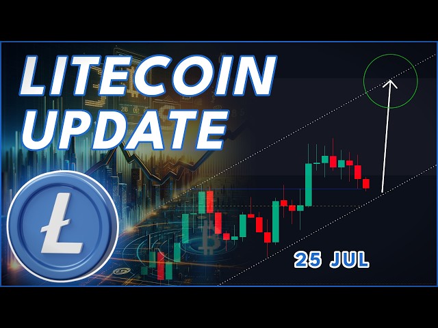 WHY LITECOIN CAN MEGA-RALLY IN 2026! (Litecoin Prediction)