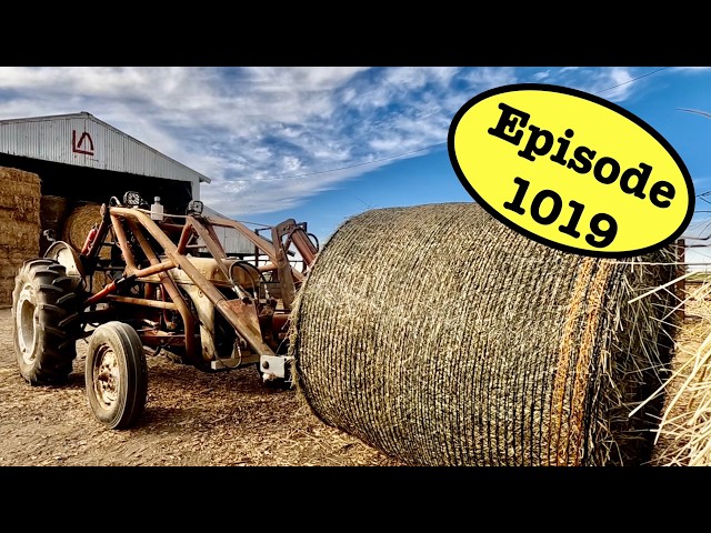 This Old Tractor Still Earns Its Keep!