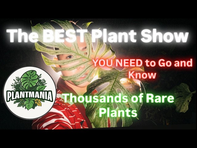 I Found Hundreds of Rare Plants What Everyone Needs to See at Plantmania Expo Austin Texas