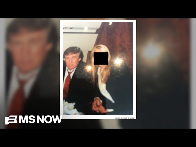 New Epstein photos are ‘only the tip of the iceberg’: Dem. Rep.