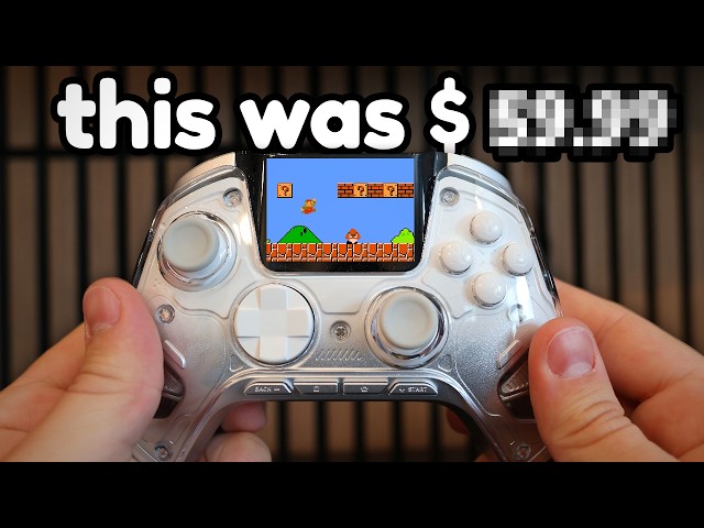 I bought some weird video game controllers