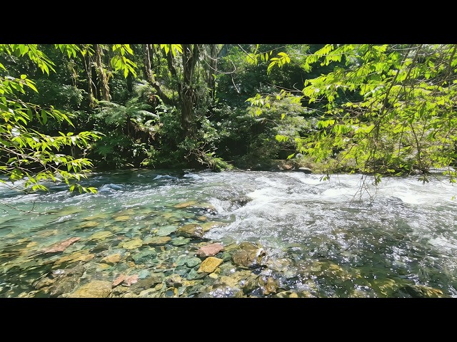 Ultimate River Relaxation ASMR 🌊 Pure Water Flow – No Rain No Music for Deep Sleep