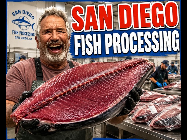 Cousin Jim Takes You Inside San Diego Fish Processing! | From Boat to Table