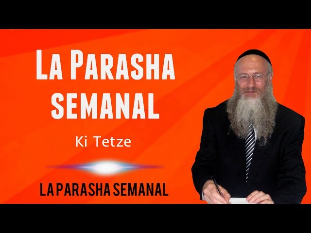 Weekly Parashah: Ki Tetze
