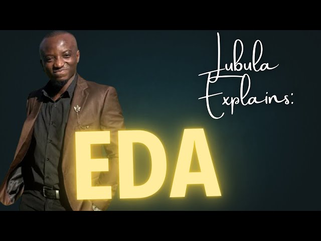 What is Exploratory Data Analysis (EDA)? | Lubula Explains