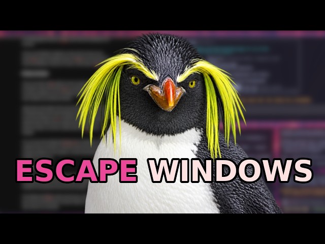 Please try Linux (I'm begging you)