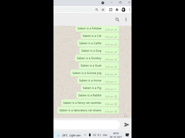 30 Sec What'sapp Bot using Python