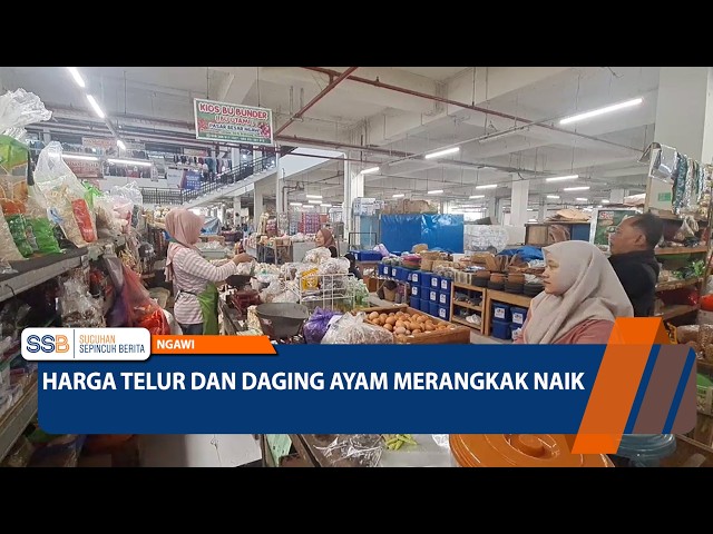 Egg and Chicken Prices Creeping Up - NGAWI