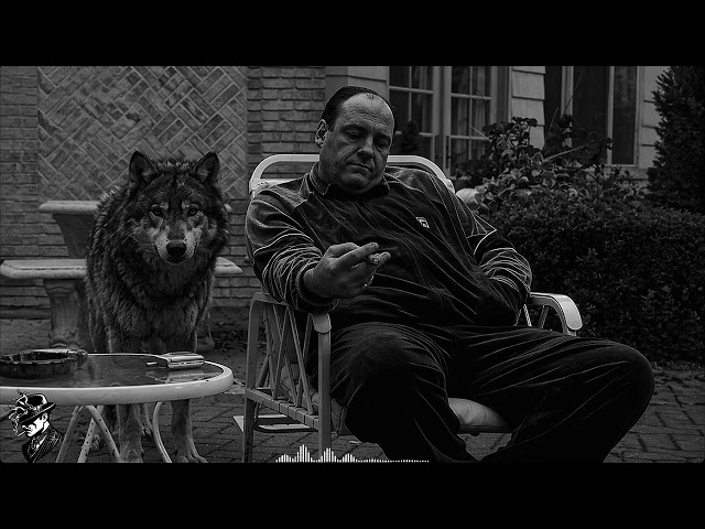 Trap&Blues - Wolves don't wear collars - (Original Mix)🥃