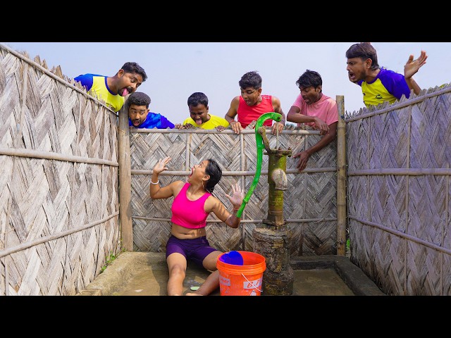 Must Watch Very Special New Monkey Comedy Video 2026😎 Amazing Funny Video 2026 Episode 146 By Bom Tv