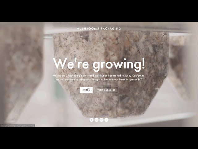 Mushroom® Packaging Intro: 100% Plastic-Free, Biodegradable Packaging You Can Compost