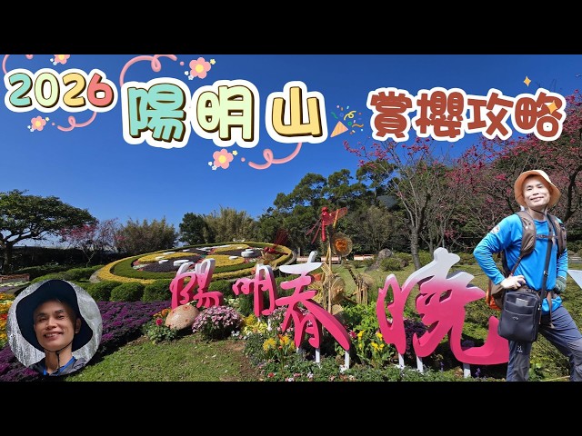 2026 Yangmingshan Cherry Blossom Viewing Guide: Yangmingshan boasts a variety of cherry blossoms,...