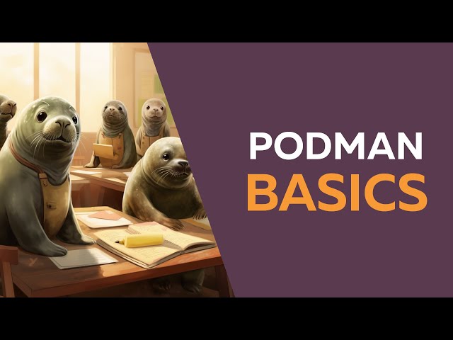 Podman Basics: Build images and run containers