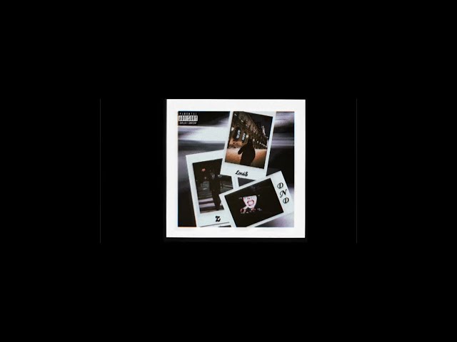 Loui$ - DND Feat. Z (Visualizer)