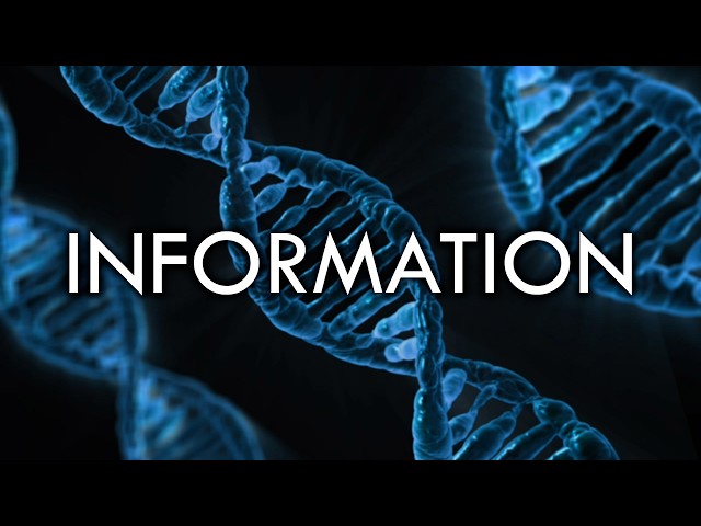 The Misused Concept At The Heart Of Intelligent Design