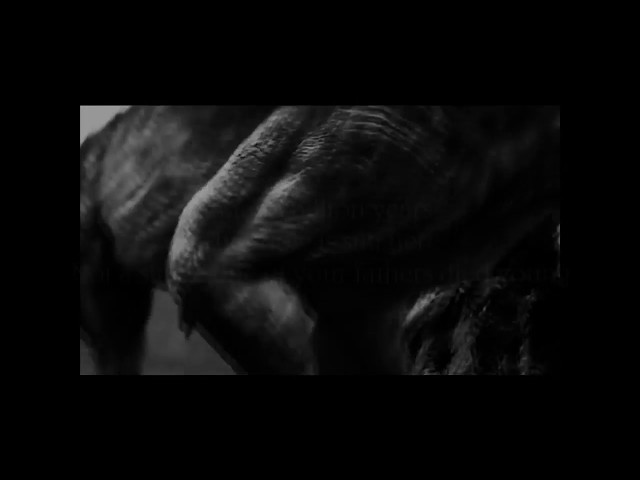 NIGHTWISH - The Toolmaker - lyrics video